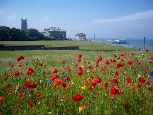 cromer